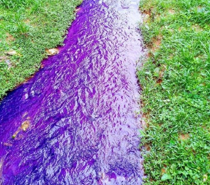 Moradores se assustam com coloração de rio em Santa Maria de Jetibá