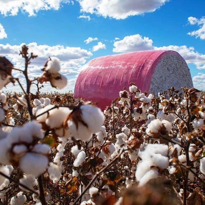 Dois sucessos do Brasil: finanças e agricultura