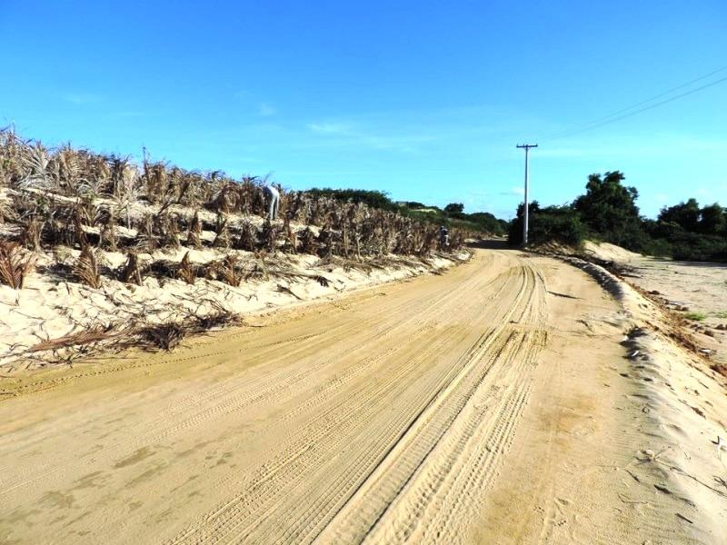 Parques Estaduais de Itaúnas e Paulo Cesar Vinha tem vegetação de restinga preservada