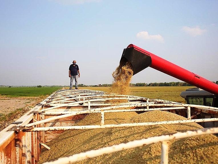 Governo venezuelano aprova créditos para aumentar produção agrícola durante pandemia