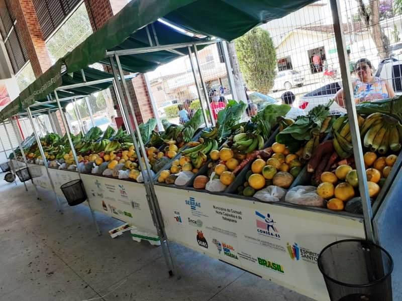 Prefeitura de Boa Esperança entrega alimentos para famílias carentes