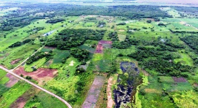 Cientistas encontram maior e mais antiga estrutura da civilização maia