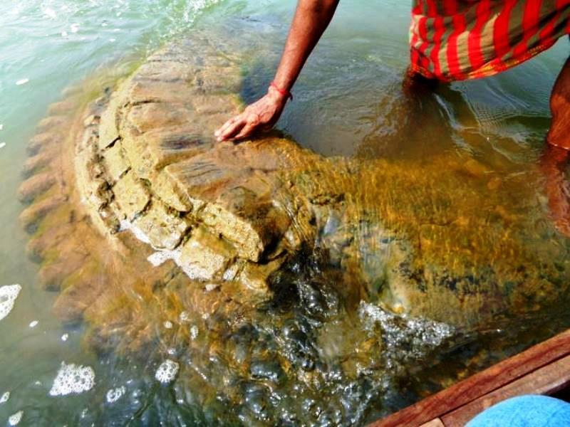 Templo do século XV submerso há 150 anos emerge na Índia