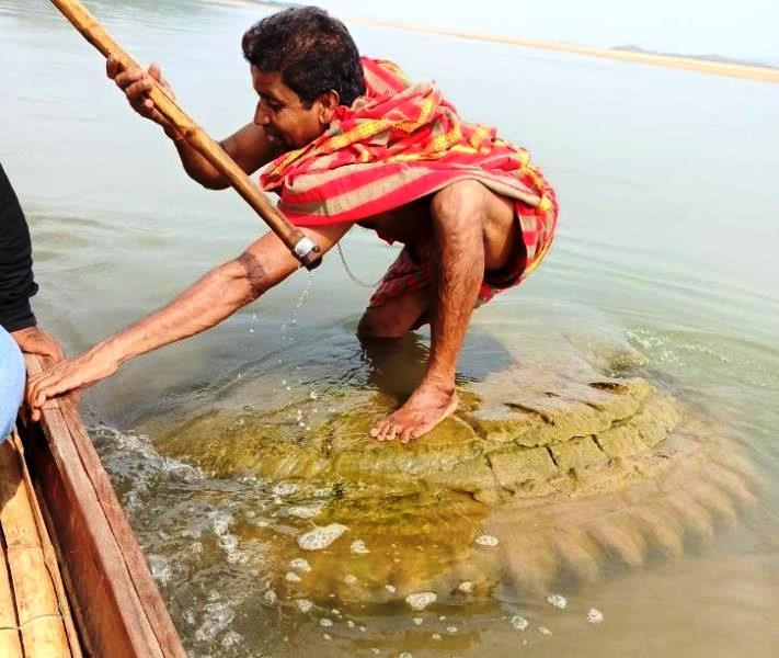 Templo do século XV submerso há 150 anos emerge na Índia