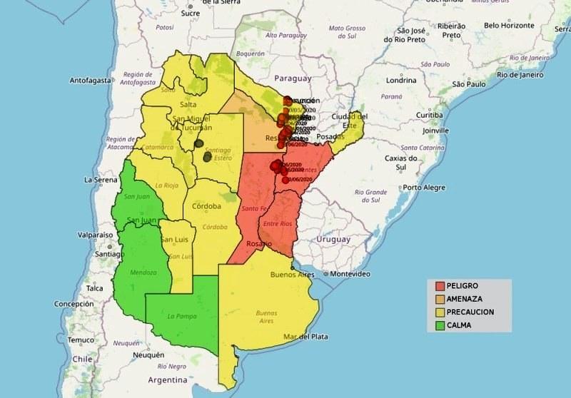 Nuvem de gafanhotos chega à Argentina e se aproxima do Brasil