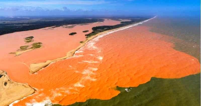 Documento põe em dúvida se litoral do ES foi atingido pelo desastre do Rio Doce