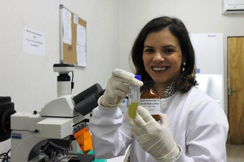 Pesquisadora da UFPB cria inseticida natural que mata mosquito da dengue