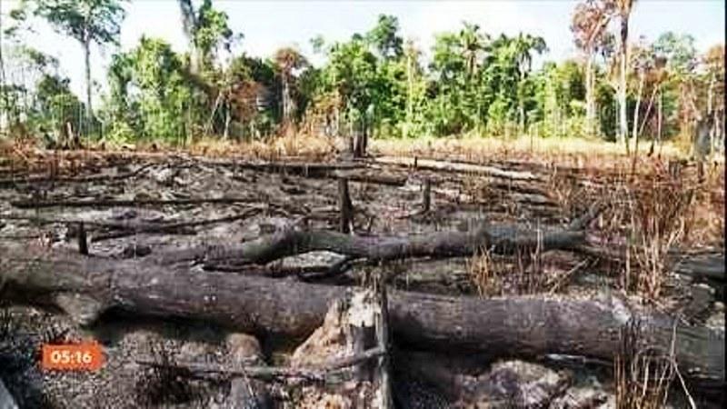 Governo federal proíbe queimadas por 120 dias