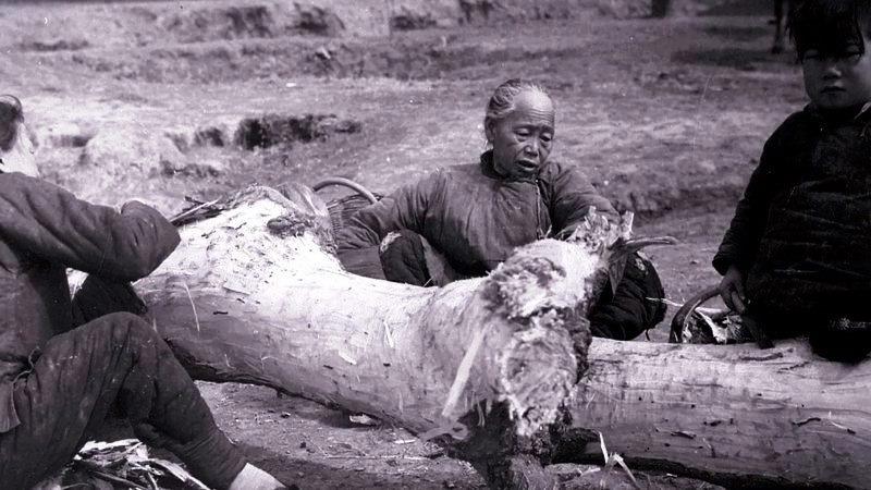 Casos de canibalismo e execuções os horrores da grande fome de Mao