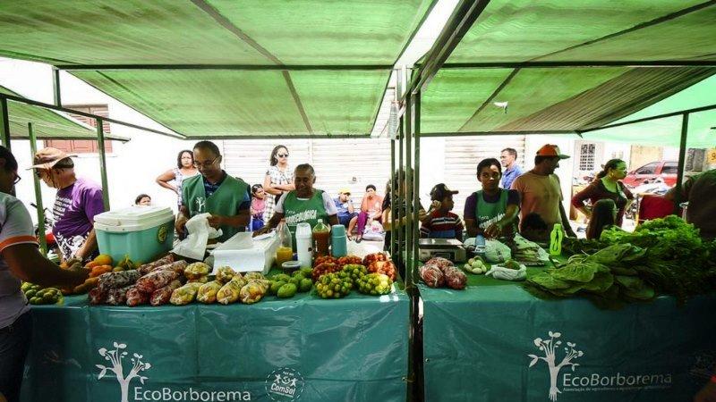 Alimentos são desperdiçados enquanto prefeituras dão merenda industrializada