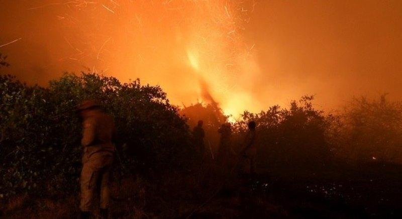 Com queimadas em alta, Pantanal pega fogo acima e abaixo da terra