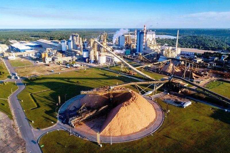 Suzano abre vagas para operações florestais na Bahia, Espírito Santo e Minas Gerais