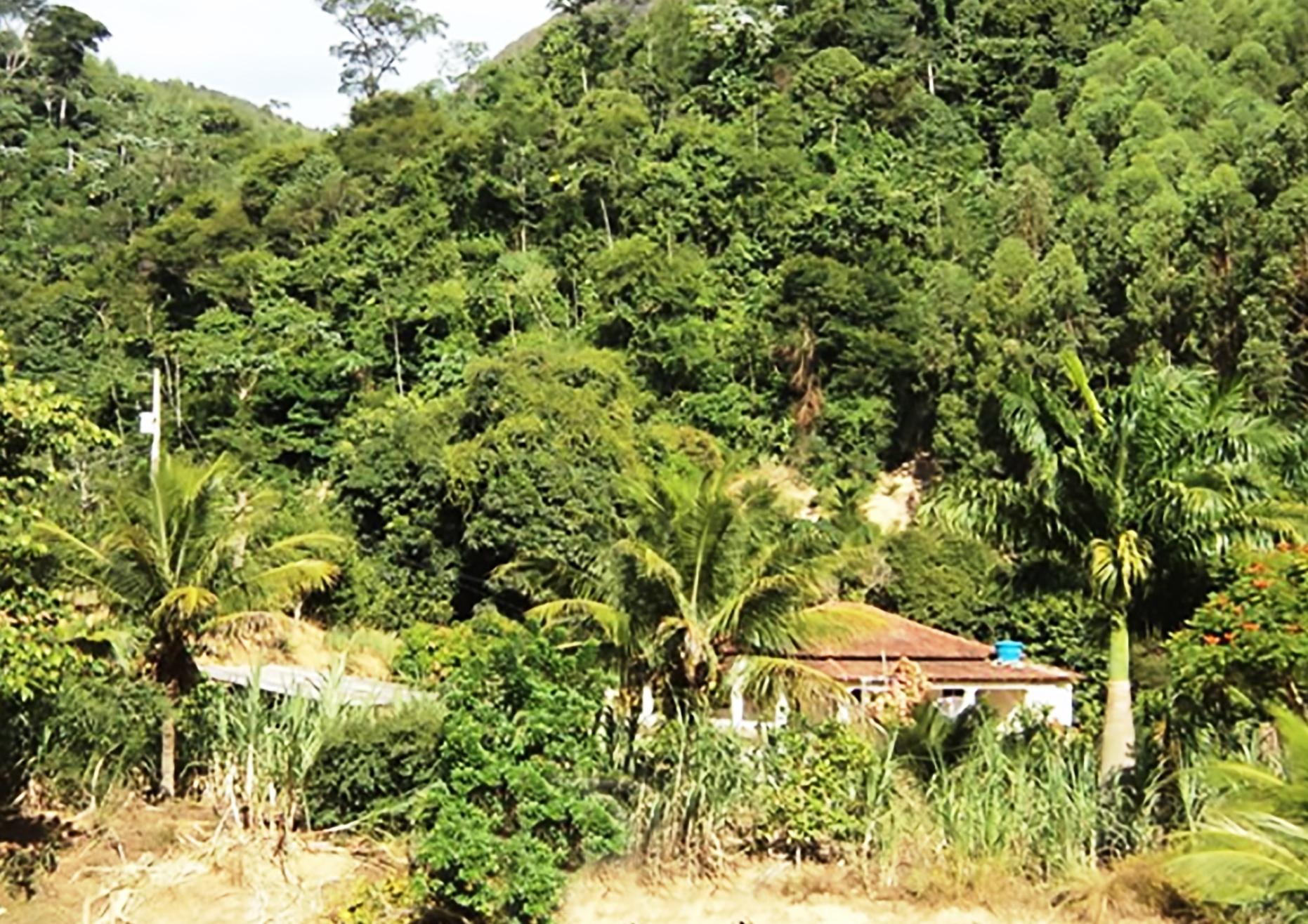 Bandes realiza leilão de imóveis nesta quarta-feira (21)