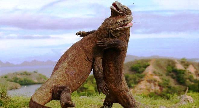 Foto viral de dragão-de-komodo revela construção de atração tipo 'Jurassic Park' em ilha