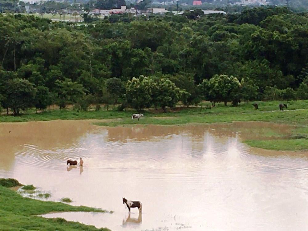 Chuva forte em SC deixa sete mortos no Vale do Itajaí, diz Defesa Civil; há desaparecidos