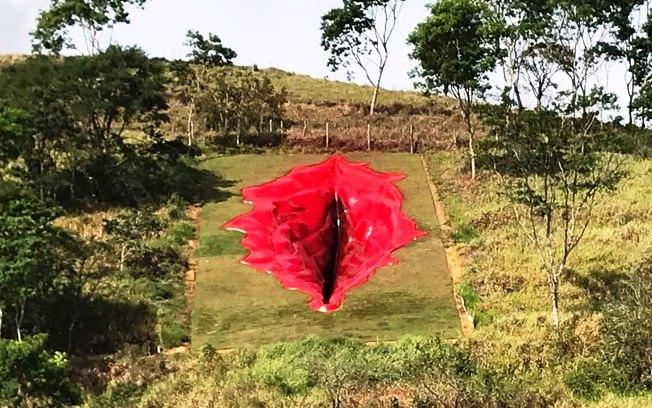 Obra de arte em forma de vulva causa polêmica na Internet