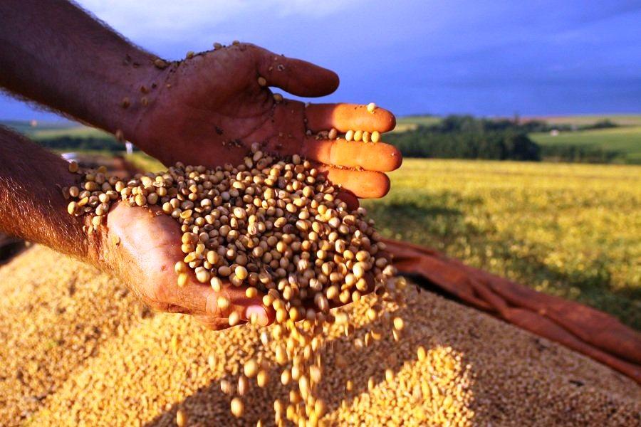 Seca atrasa plantio de grãos e pode comprometer próximas safras