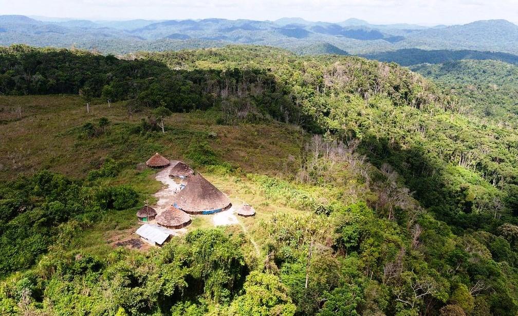 Desnutrição infantil, garimpo e Covid: entenda os problemas que afligem a Terra Indígena Yanomami