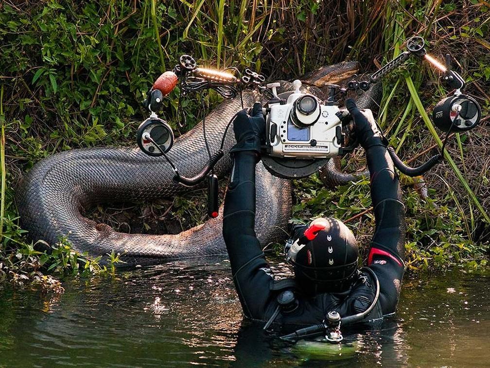 Empresários se assustam ao encontrar sucuri gigante durante mergulho em rio