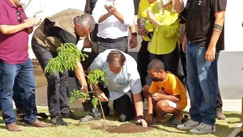 Em São Mateus, Bolsonaro entrega casa à família e planta árvore