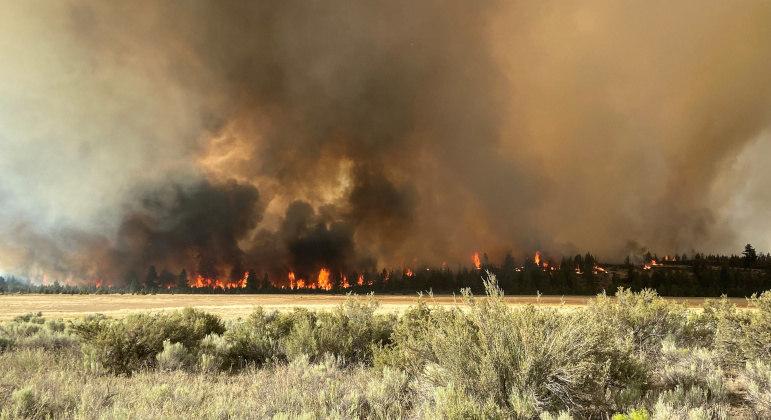 Grande incêndio florestal cresce nos EUA e desaloja população