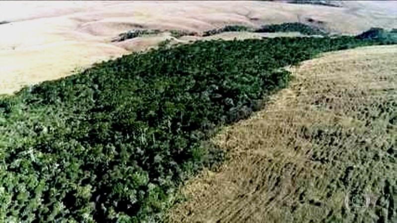 Congresso deve votar projetos na área ambiental após recesso; críticos veem riscos à preservação