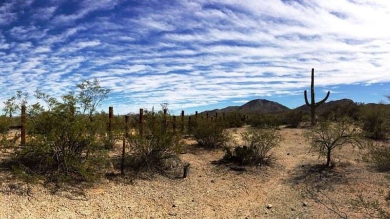 O arriscado trajeto entre EUA e México onde brasileira foi encontrada morta