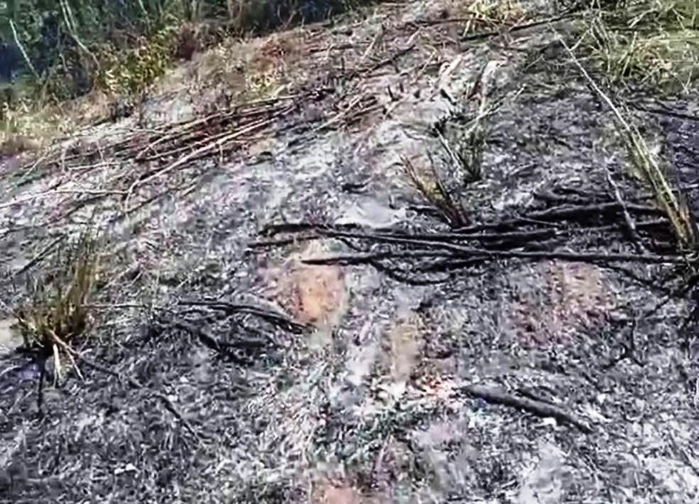 Idosa morre carbonizada no quintal de casa após queimar o lixo e tentar apagar as chamas