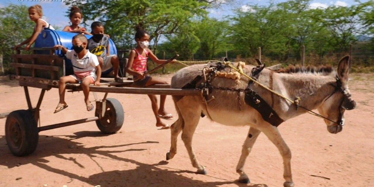 Agricultora percorre 10 km por dia para conseguir água no interior de Alagoas