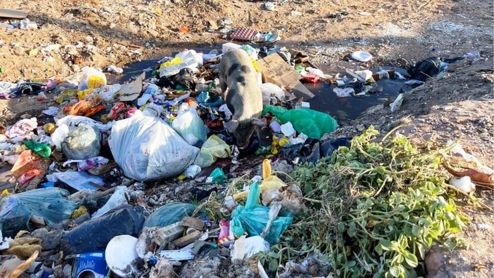 Os brasileiros que sobrevivem com comida de porco e água suja: ‘Um balde para seis tomarem banho’