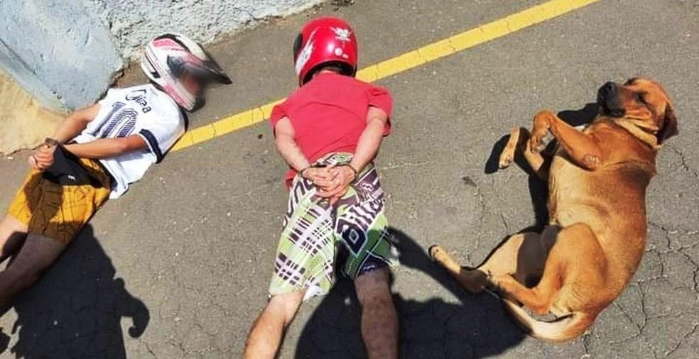 Cão deita ao lado de suspeitos em abordagem policial, e viraliza: “Cachorro foi parceiro dos caras”, diz PM