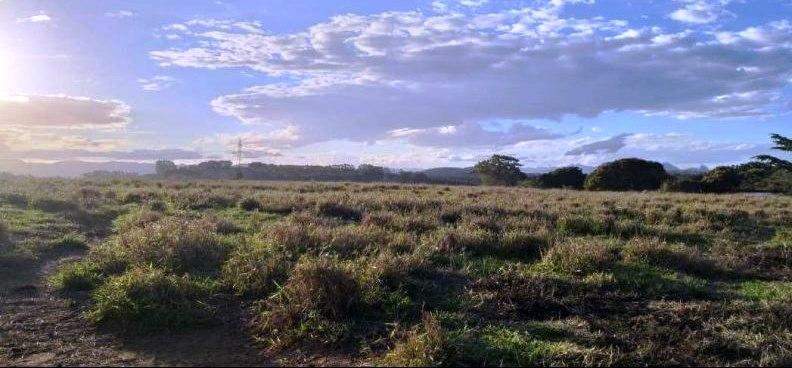 Governo do ES anuncia venda de terrenos públicos localizados em Cariacica