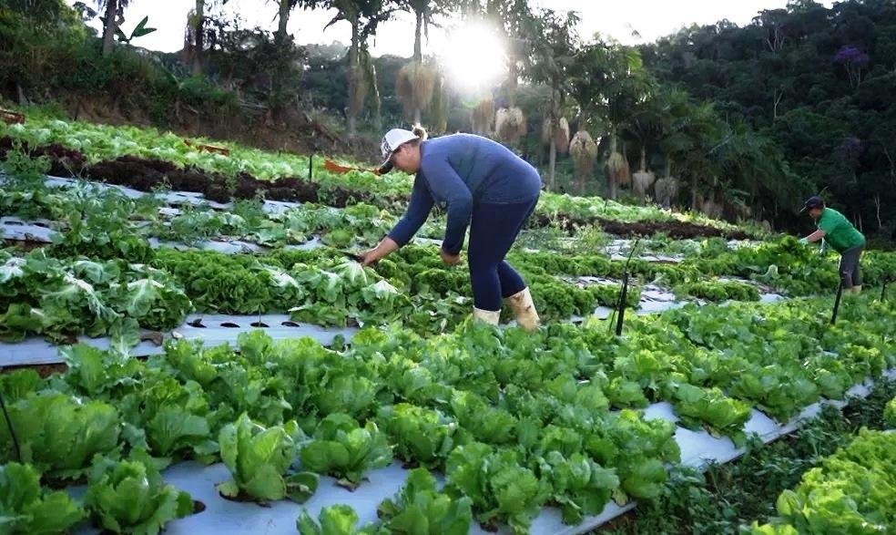 Alta no preço dos combustíveis faz produtores rurais desistirem de feiras urbanas no ES