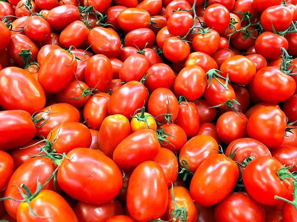 Preço do tomate quase dobra em 1 ano; entenda por que e se vai continuar caro