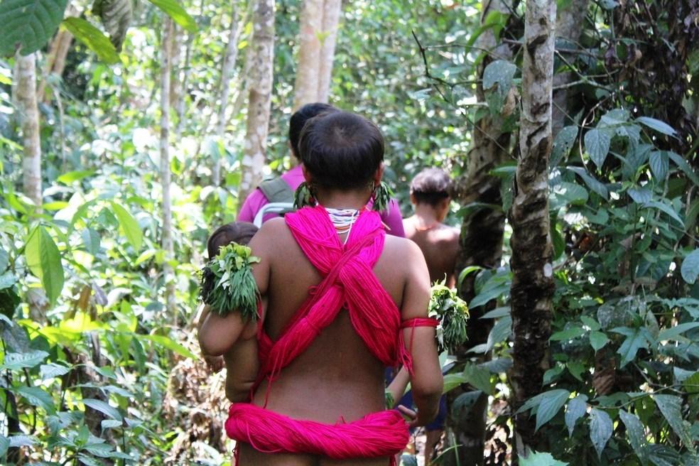 Garimpeiros exigem sexo com meninas e mulheres Yanomami em troca de comida, aponta relatório