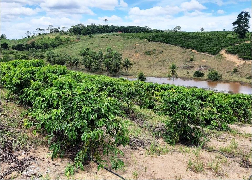 Bandes realiza leilão de imóveis rurais e urbanos, no Espírito Santo, nesta quarta-feira (4)