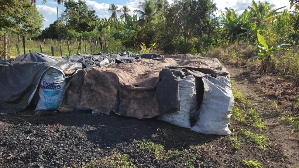 Polícia apreende mais de 11 toneladas de carvão clandestino, em Conceição da Barra, no ES