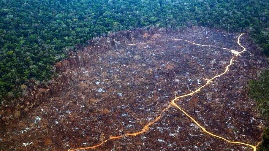 País precisa de US$ 64 bilhões nos próximos anos para recuperar pastos