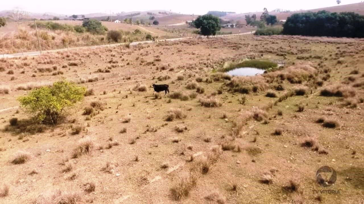 Produtores do Sul do ES sofrem com a falta de chuva há 5 meses