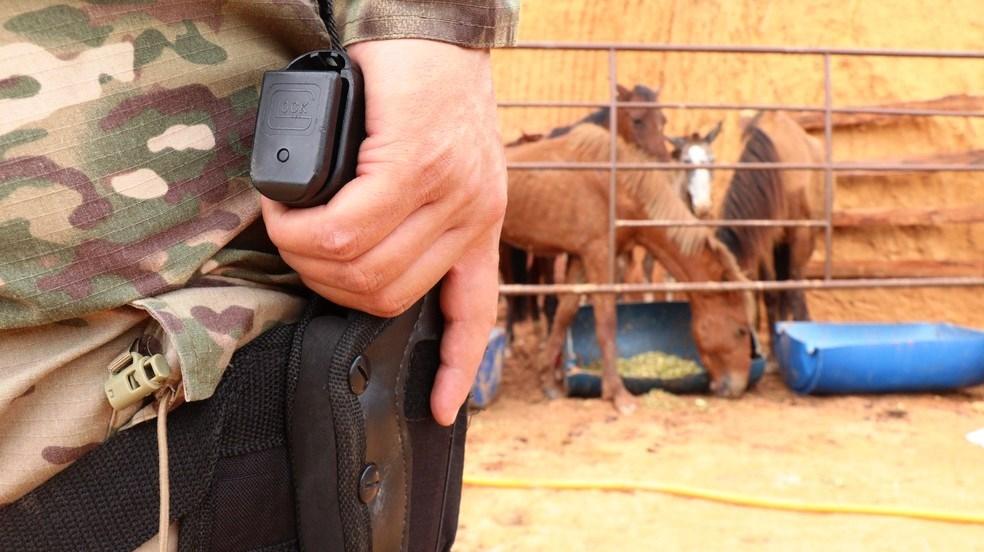 Polícia fecha abatedouro de cavalos que eram furtados e vendidos como carne bovina, no ES