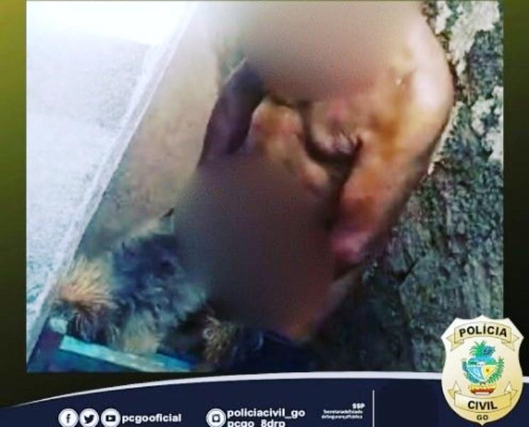 Idoso de 85 anos é preso em flagrante por crime de zoofilia