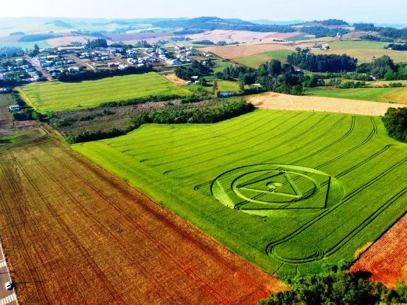 Ufólogos concluem investigação sobre agroglifo em Ipuaçu, em SC