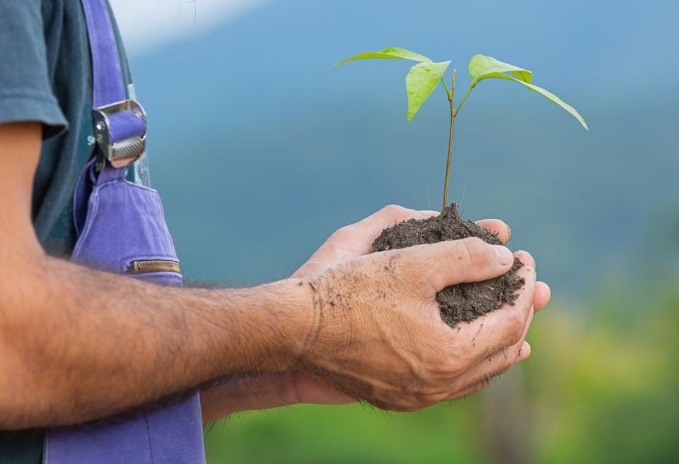 Linha de crédito para baixo carbono do Bandes é diferencial para empresários capixabas