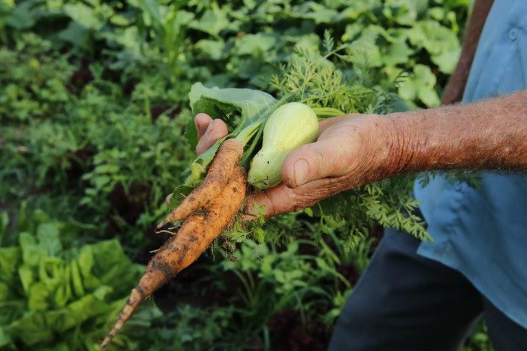 Parceria com o PAA rende 30 toneladas de alimentos em junho no Espírito Santo