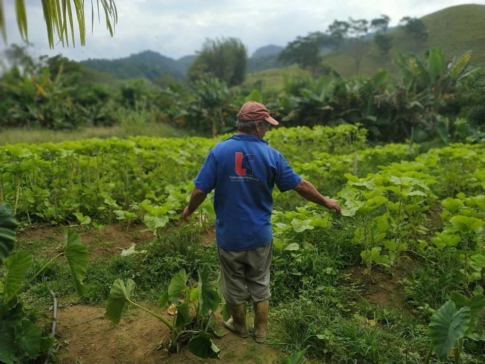 Mudanças no Programa Compra Direta de Alimentos vão melhorar atendimento a municípios e beneficiários no ES