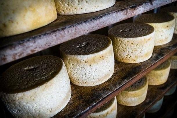 Cabrales: conheça o pedaço de queijo mais caro do mundo