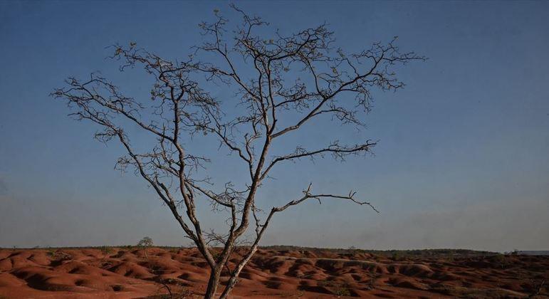 Cidade do Piauí se transforma em deserto e área de seca é maior do que Nova York