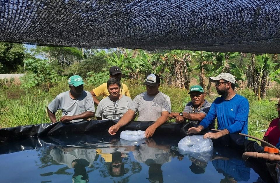 Aquaponia: projeto incentiva produção de peixes e hortaliças em aldeia indígena de Aracruz, ES