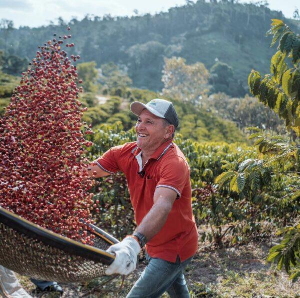 Espírito Santo registra novo recorde histórico de exportação de café conilon