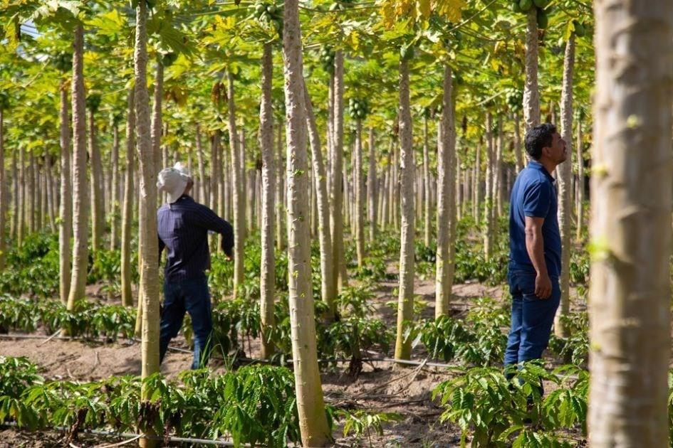 Idaf abre concurso público com 52 vagas e salário de até R$ 6,9 mil